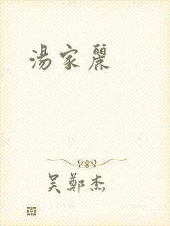 汤家丽封面