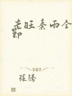 老旺秦雨全部章节