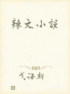 辣文小说