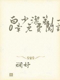 白少洁第1一40章免费阅读封面