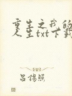 重生之我的书记人生txt下载封面