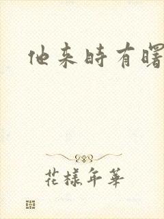 他来时有曙光封面