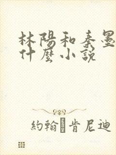 林阳和秦墨浓是什么小说封面