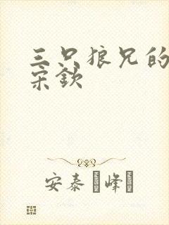 三只狼兄的宠妻宋钦