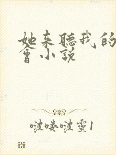 她来听我的演唱会小说