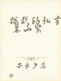 总裁的私有宝贝 暮山紫