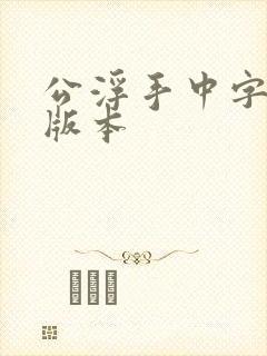 公浮手中字最新版本封面