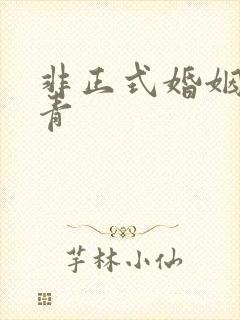 非正式婚姻雾里青