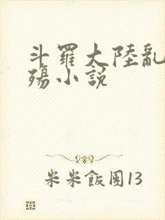 斗罗大陆乱世浮殇小说