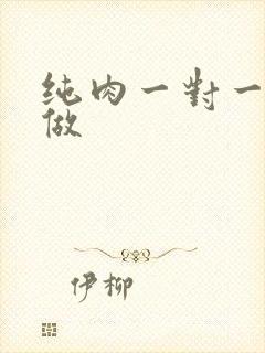 纯肉一对一到处做