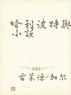 哈利波特与密室小说