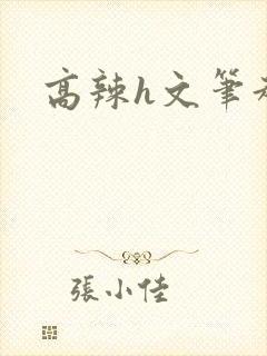 高辣h文笔趣阁
