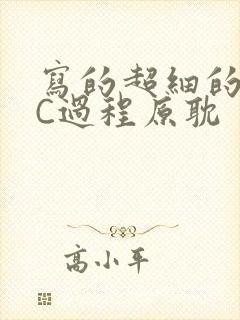 写的超细的多肉C过程原耽