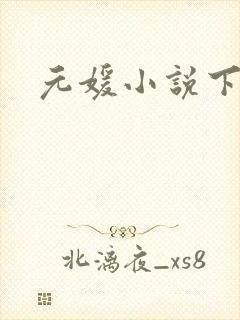 元媛小说下载封面