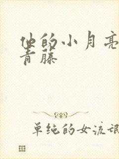 他的小月亮by青藤