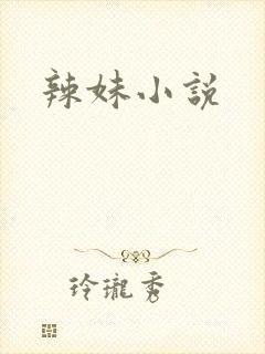 辣妹小说