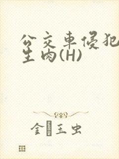 公交车侵犯小男生肉(H)