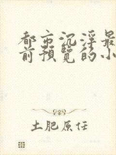 都市沉浮最快超前预览的小说3030