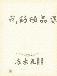 我的极品婆婆封面