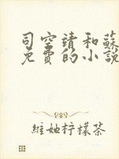 司空靖和苏月汐免费的小说笔趣阁