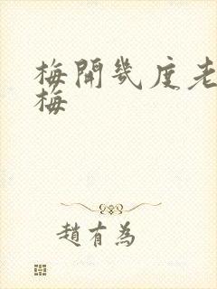 梅开几度老周张梅封面