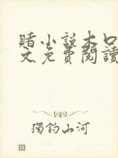 赌小说木口银全文免费阅读笔趣阁封面