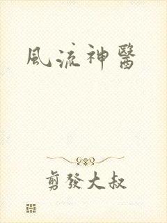 风流神医封面