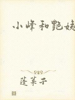 小峰和艳姨封面