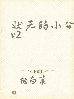 状元的小公主1v2