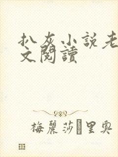 扒灰小说老马全文阅读封面