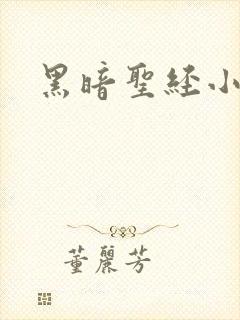 黑暗圣经小说封面