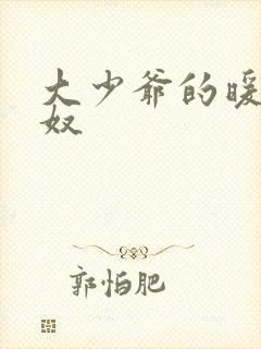 大少爷的暖床小奴