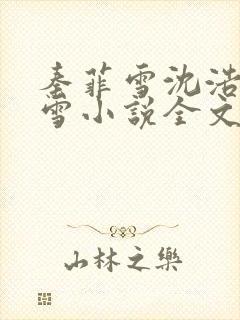 秦菲雪沈浩秦菲雪小说全文免费阅读求书