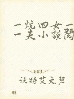 一炕四女一共侍一夫小说阅读