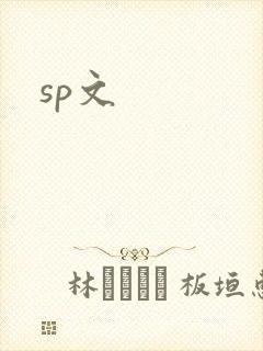 sp文封面