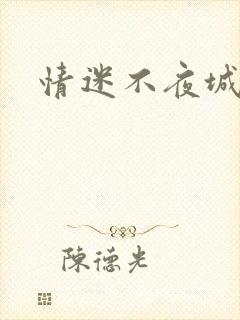 情迷不夜城