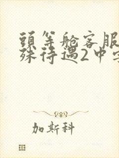 头等舱客服的特殊待遇2中字