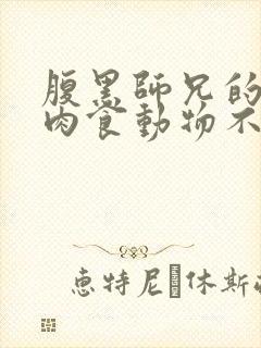 腹黑师兄的日常肉食动物不食草