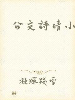 公交诗晴小说