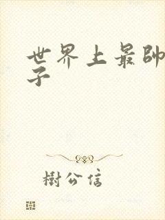 世界上最帅的虫子