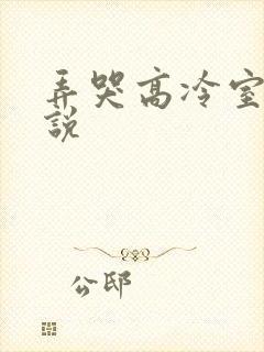 弄哭高冷室友小说