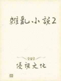 杂乱小说2