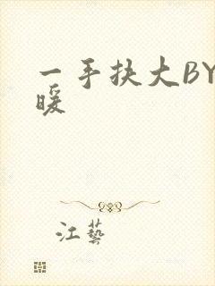 一手扶大BY泱暖封面