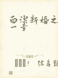 白洁新婚之夜第一章