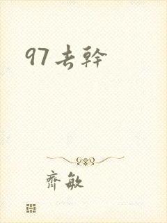 97去干封面