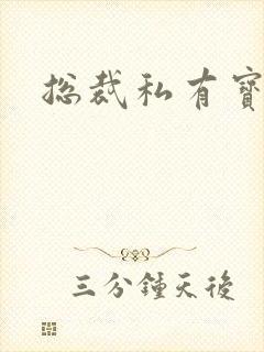 总裁私有宝贝封面