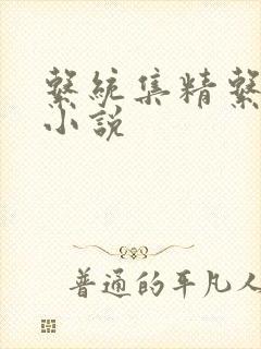 系统集精系统 小说