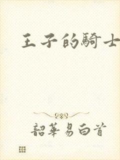 王子的骑士小说封面