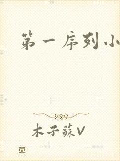 第一序列小说封面