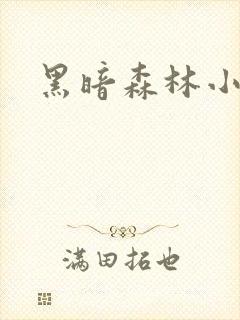 黑暗森林小说封面